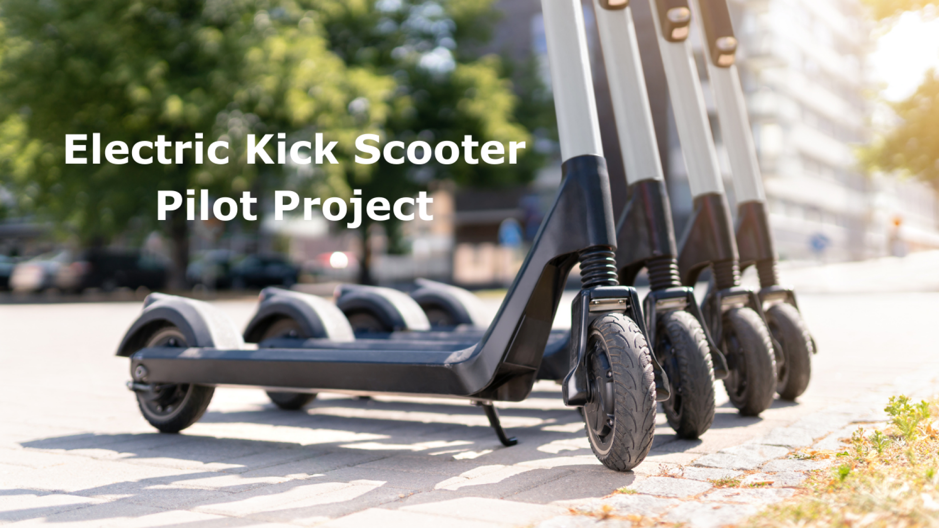 Electric Kick Scooter