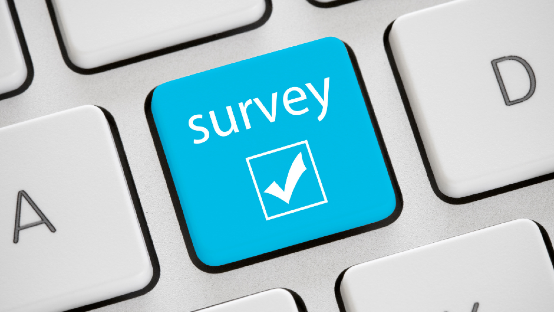 survey