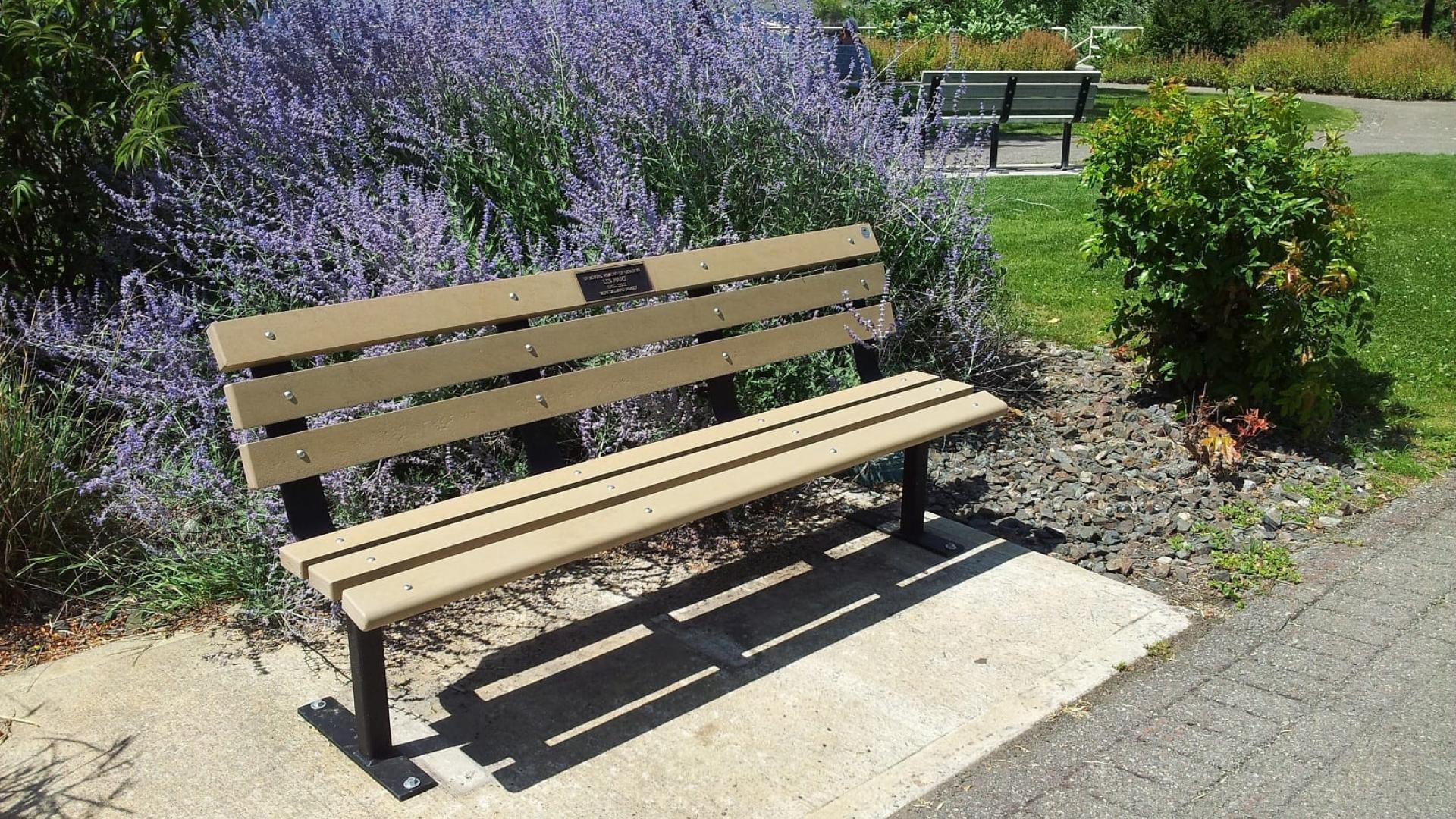 memorial bench in park