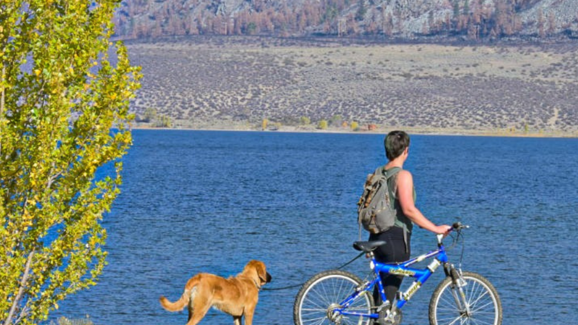 Man with bike