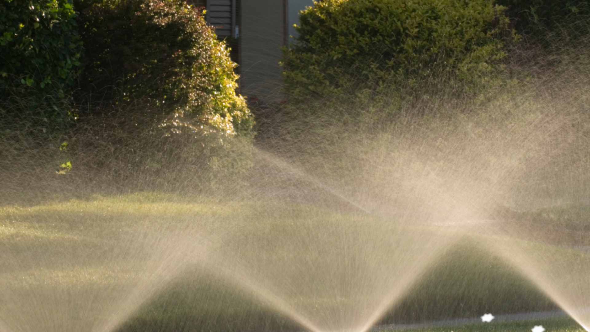 sprinklers